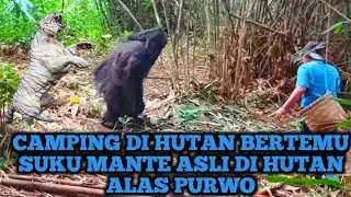 Bujang ranau chanel ‼️ viral camping di hutan pedalaman bertetemu suku mante asli