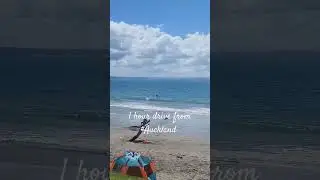#Shakespeare beach # Address Shakespear Regional Park1501 Whangaparāoa Road, Army Bay
