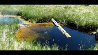 Borax Lake Hot Springs - Eastern Oregon