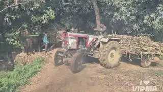 26 January 2026 गन्ना पर्ची पर डाला🇨🇮🚜#farming #comedy #parmod#vlogs#Video @fjking #funny 