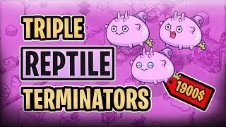 TRIPLE REPTILE TERMI TEAM WORKS?! TOP 100 LEADERBOARD MATCH