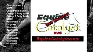 Equine Catalyst 2
