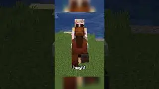 Minecraft's HORSE Statistics