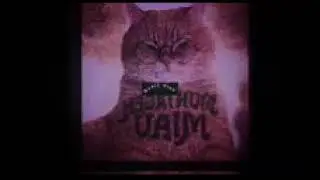 Montegem meow -speed up(version)#montegem