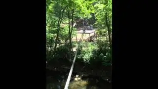 Elmwood Park Zoo Treetop Adventures - Zipline 3 (Jimmy)