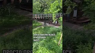 🌉 Воздушная экотропа ВДНХ
