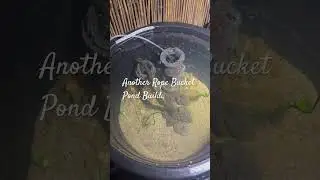 Rope Bucket Pond #diy #diypond #diyfishkeeping #ponds