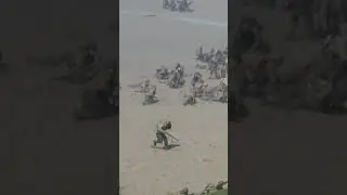 WW D Day American Wounded, Rallies to Defeat German Forces at D-Day Reenactment in Conneaut Ohio