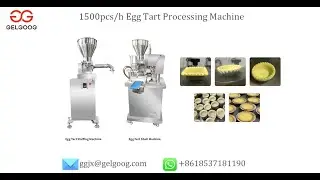 GELGOOG&reg; How To Make #Tart #Skin &Canton Tart?|Pie Shell Making Machine