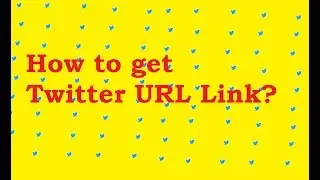 How to find the twitter URL link ?