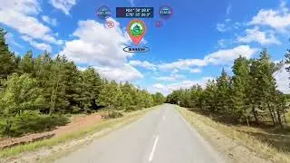 20250524 Лес в районе Шалдай