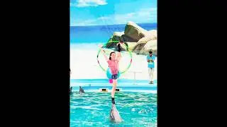 A Magical Bond Between Humans & Dolphins|Thailand Trip Pt.1 #DolphinLove #ThailandAdventure #shorts