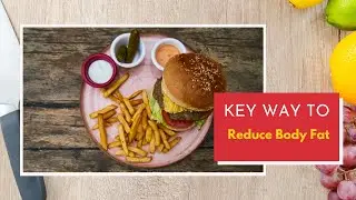 The Key Ways to Reduce Body Fat Fast // The 2 Week Diet Review