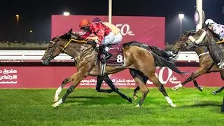 RM 28  Al Uqda Race 5 - Distaff Cup