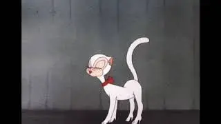 𝓜𝓪𝓻𝔂 𝓜𝓪𝓻𝔂~ 𝔀𝓪𝓵𝓴𝓲𝓷𝓰~( 𝓼𝓵𝓸𝔀𝓮𝓭)