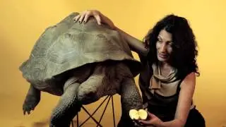 Lisa Edelstein Meets a Living Dinosaur at the Turtle Conservancy!