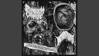 ALTAR OF VISCERA