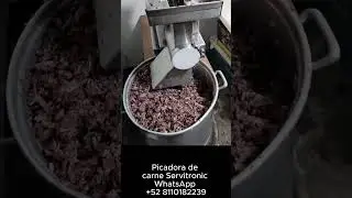 PICADORA DE CARNE ASADA PARA TACOS