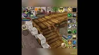 Order and Chaos Sin/FK PvP