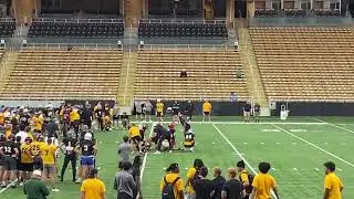 IMG 6529