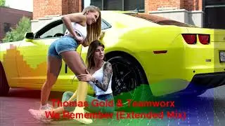 Thomas Gold & Teamworx - We Remember (Extended Mix)