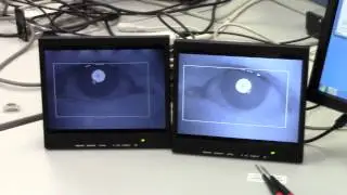 240 HZ Binocular Head Mount