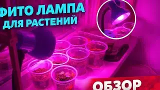Фета лампа для растеней - обзор