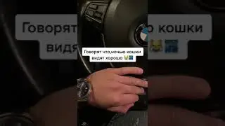 Говорят что, ночью кошки видят хорошо 🤣🤣🤣