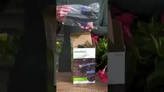 Convert Your Sprinkler to Drip with the Raindrip Conversion Kit 🌿💧