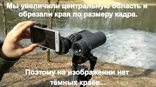 Бинокль MINOX BLU 8x42