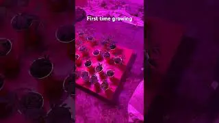 #horticulture #newgrower