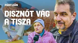 Tiszás disznóvágás a legfideszesebb körzetben – 