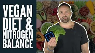 Vegan Diets, Protein & Nitrogen Balance: Study Review | Educational Video | Biolayne