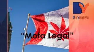 Editorial DYTV : Canad&aacute; ya vende mota legal...