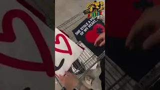 Fast and High-Quality DTF Printing | Cheetah DTF with Super Quick Shipping, Superior Quality