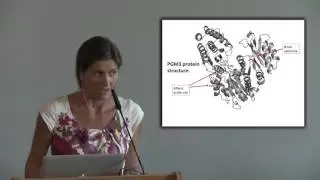 Video 37: Asbjorg Stray-Pedersen