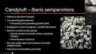 Plant Families: Brassicaceae Online Class