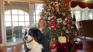 Holiday Decorating guide