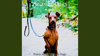 Delightful Moods for Separation Anxiety