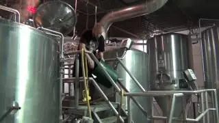 Эксцентриковый дисковый насос Mouvex серии C справляется с задачами Surly Brewing