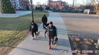 Dog obedience school | Fredericksburg dog trainers | puppy training | any breed dog training | OBKS 