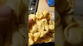 Pasta Novice: Cooking a simple Cheese Tortellini dish#pastanight #cookingforbeginners
