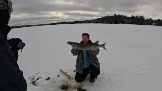 Giant Musky on a Tip Up in The Northwoods
