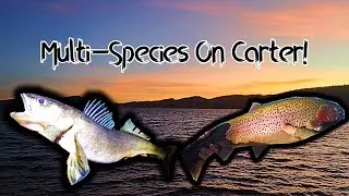 Walleye, Trout, And A Kayak! Carter Lake Winter Fishing!