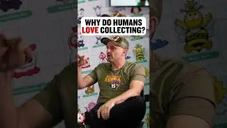 My thoughts on collectible culture