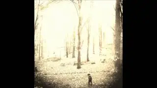 Patrick Brewer - Coming Home
