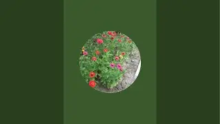 Küçük Bahçem kanalı canlı yayında