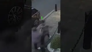 Moment 'Rolex ripper' mistakenly targets undercover cops