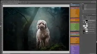 Magical blue-toned dog portrait edit in Photoshop using Fur Babies actions