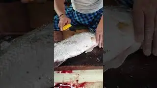 KODUVAA FISH CUTTING BY PALANI ANNA 🔥! #fishcuttingskills #shorts #fishcutting #royapuram #seafood